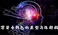 数字货币钱包的类型与选择指南