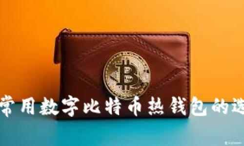 全面解析常用数字比特币热钱包的选择与使用