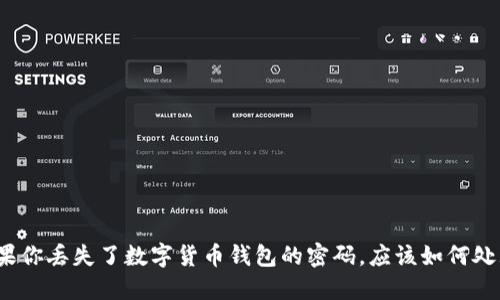 如果你丢失了数字货币钱包的密码，应该如何处理？