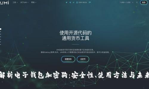 全面解析电子钱包加密狗：安全性、使用方法与未来趋势