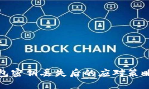 加密货币钱包密钥丢失后的应对策略与解决方案