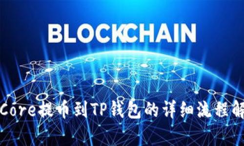 从Core提币到TP钱包的详细流程解析