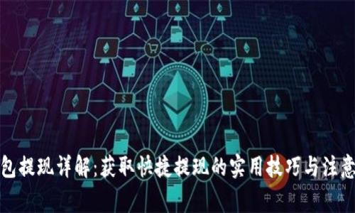 TP钱包提现详解：获取快捷提现的实用技巧与注意事项