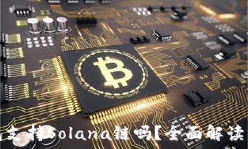   
小狐狸钱包支持Solana链吗？全面解读与使用指南