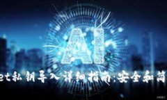 TokenPocket私钥导入详细指南：安全和简