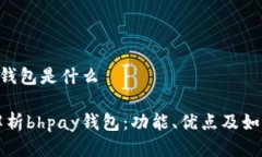 bhpay钱包是什么全面解析bhpay钱包：功