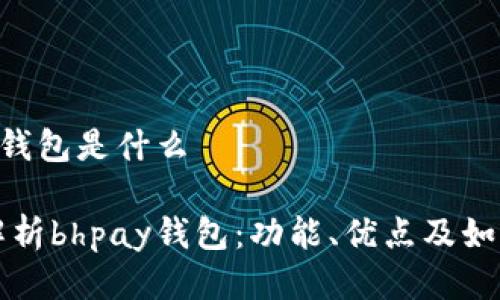 bhpay钱包是什么

全面解析bhpay钱包：功能、优点及如何使用