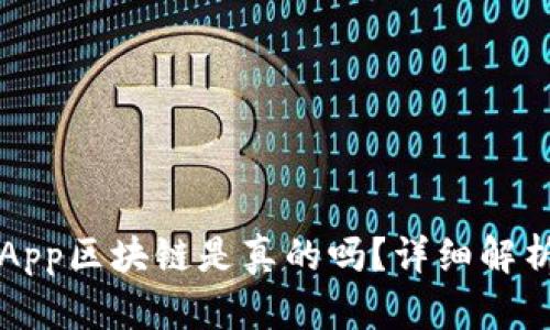 版麦子钱包App区块链是真的吗？详细解析与用户指南