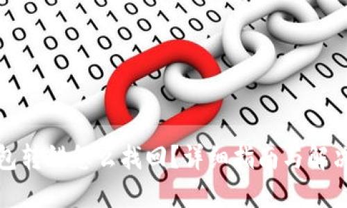 TP钱包转错怎么找回？详细指南与解决方案