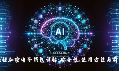 : 区块链加密电子钱包详解：安全性、使用方法与前景分析