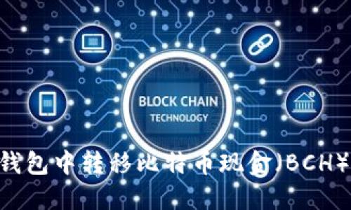 如何在TP钱包中转移比特币现金（BCH）：详细指南