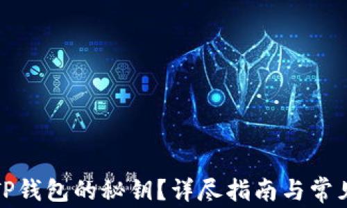 
如何下载TP钱包的秘钥？详尽指南与常见问题解答