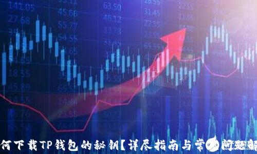 
如何下载TP钱包的秘钥？详尽指南与常见问题解答