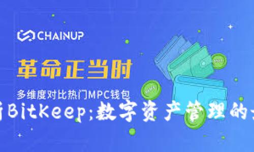 全面解析BitKeep：数字资产管理的最佳选择