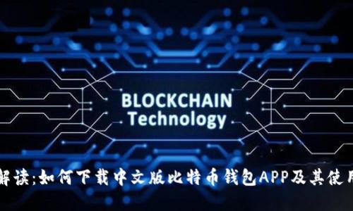全面解读：如何下载中文版比特币钱包APP及其使用指南