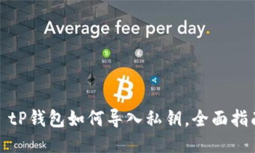 : tP钱包如何导入私钥,全面指南