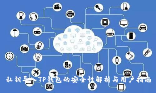 私钥导入TP钱包的安全性解析与用户指南