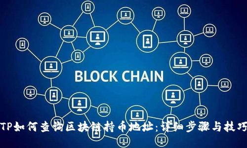 TP如何查询区块链持币地址：详细步骤与技巧